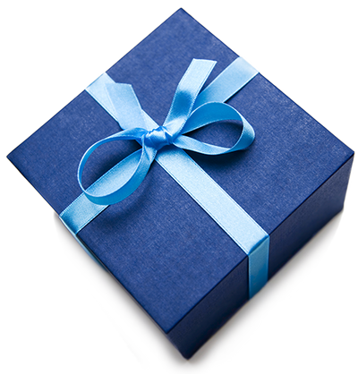 Nulls.Net Nulls Gift Product Gift Wrapping Option